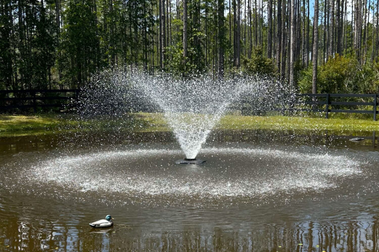 RESIDENTIAL FOUNTAINS Local Fountain Expert