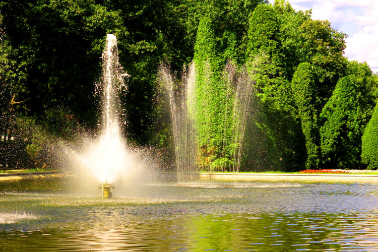 Maintaining Floating Pond Fountains: What Florida Homeowners Should Know